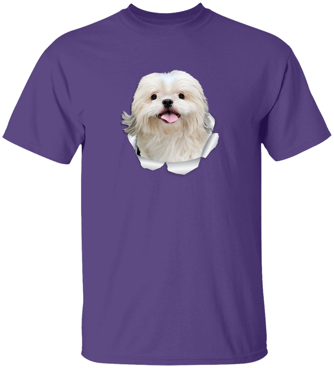G500 Gildan 5.3 oz. T-Shirt - Purple