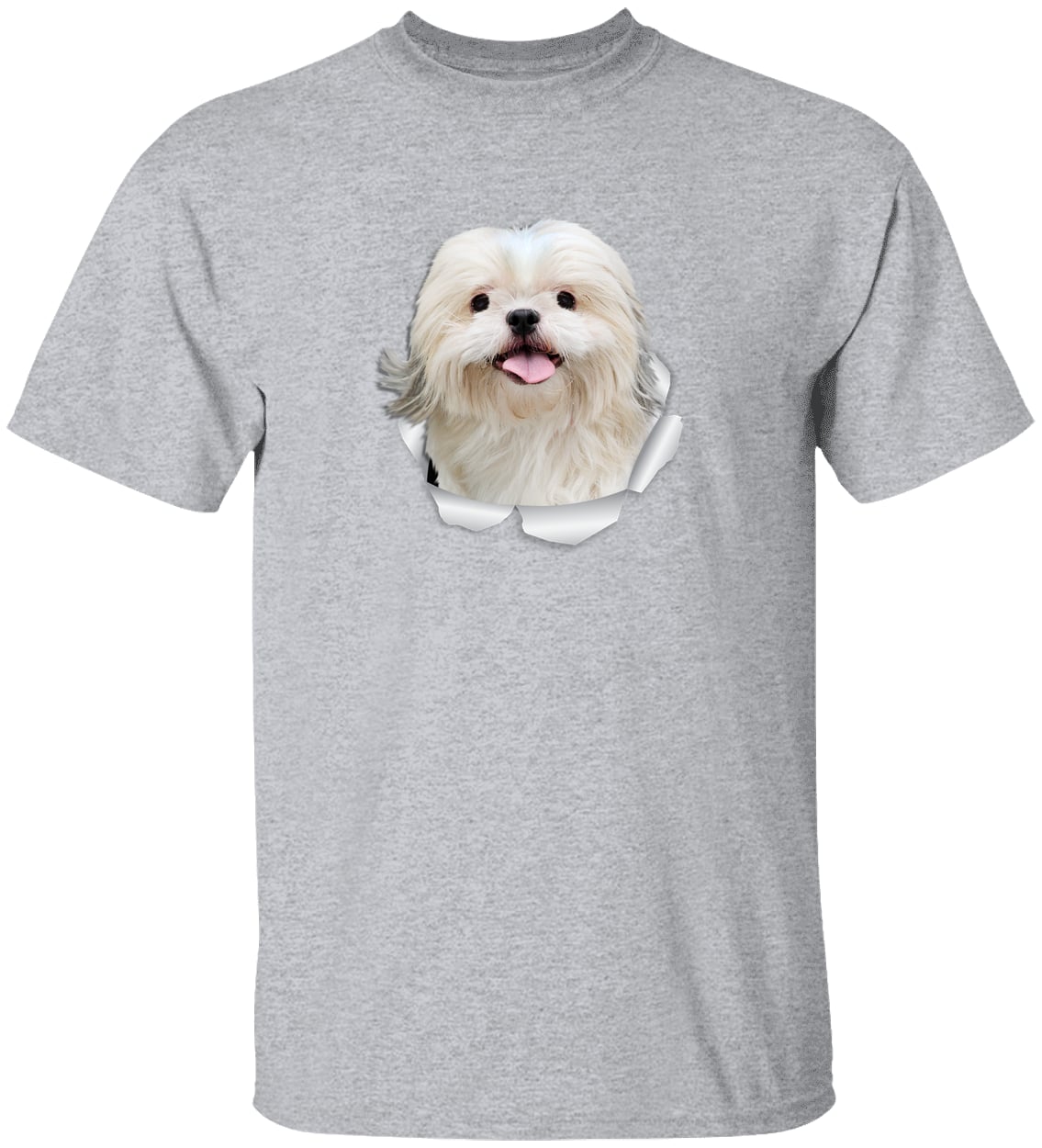 G500 Gildan 5.3 oz. T-Shirt - Sport Grey