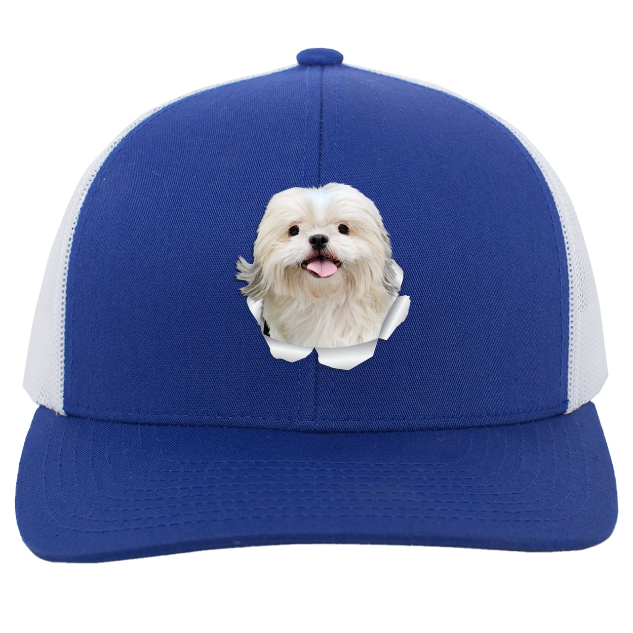 104C Trucker Snap Back - Royal/White