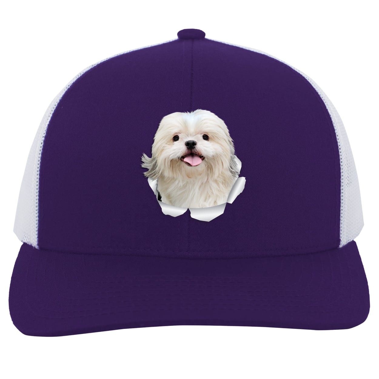 104C Trucker Snap Back - Purple/White