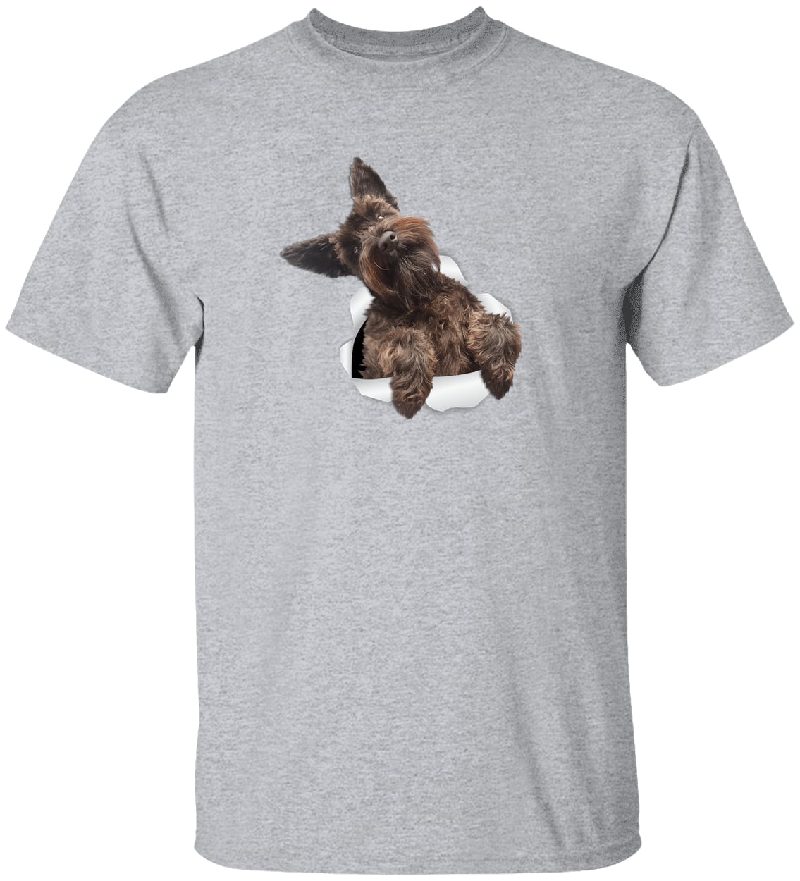 G500 Gildan 5.3 oz. T-Shirt - Sport Grey