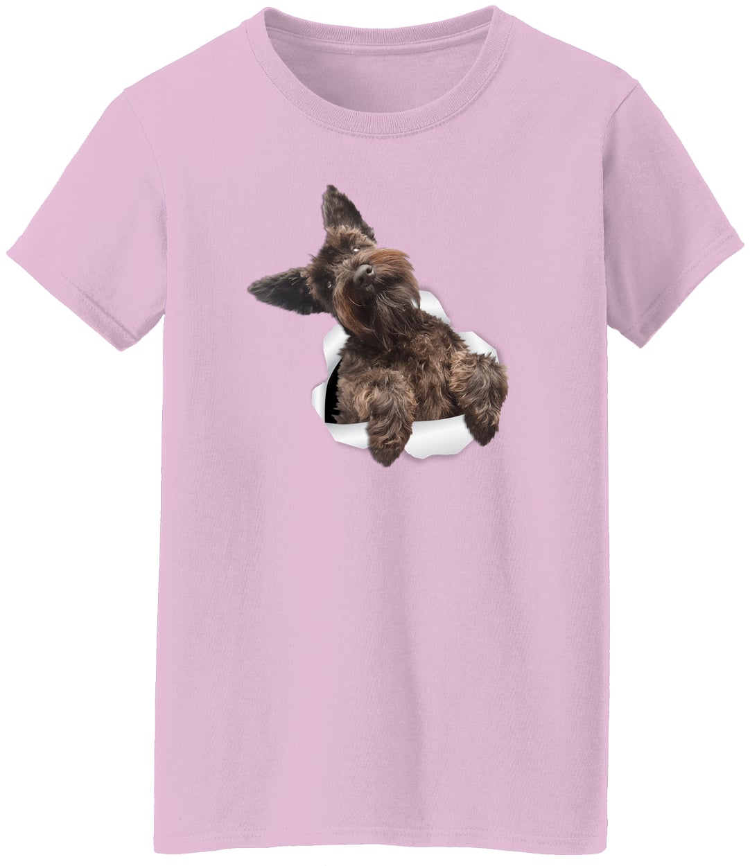 G500L Ladies' 5.3 oz. T-Shirt - Light Pink