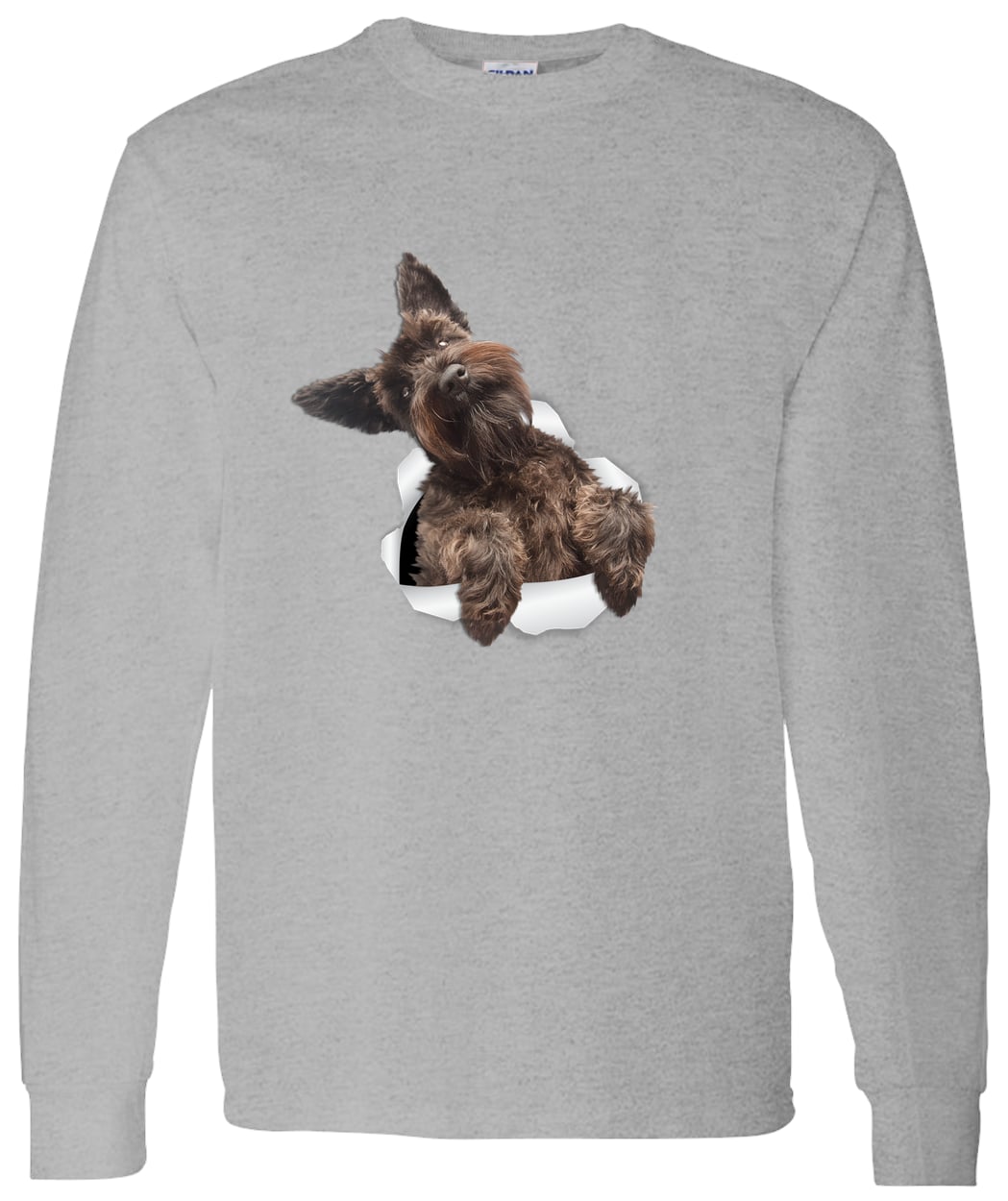 G540 LS T-Shirt 5.3 oz. - Sport Grey