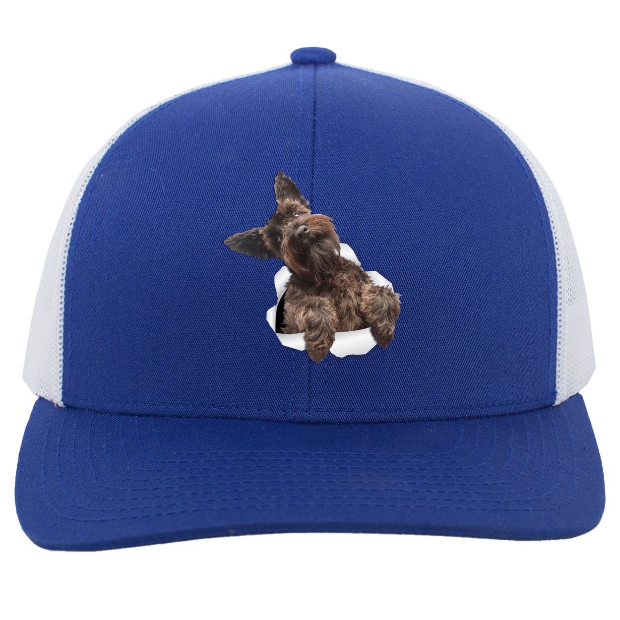 104C Trucker Snap Back - Royal/White