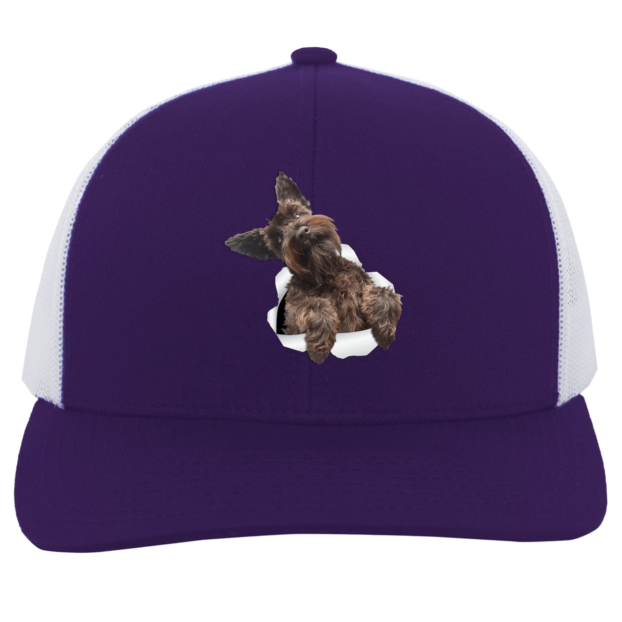 104C Trucker Snap Back - Purple/White