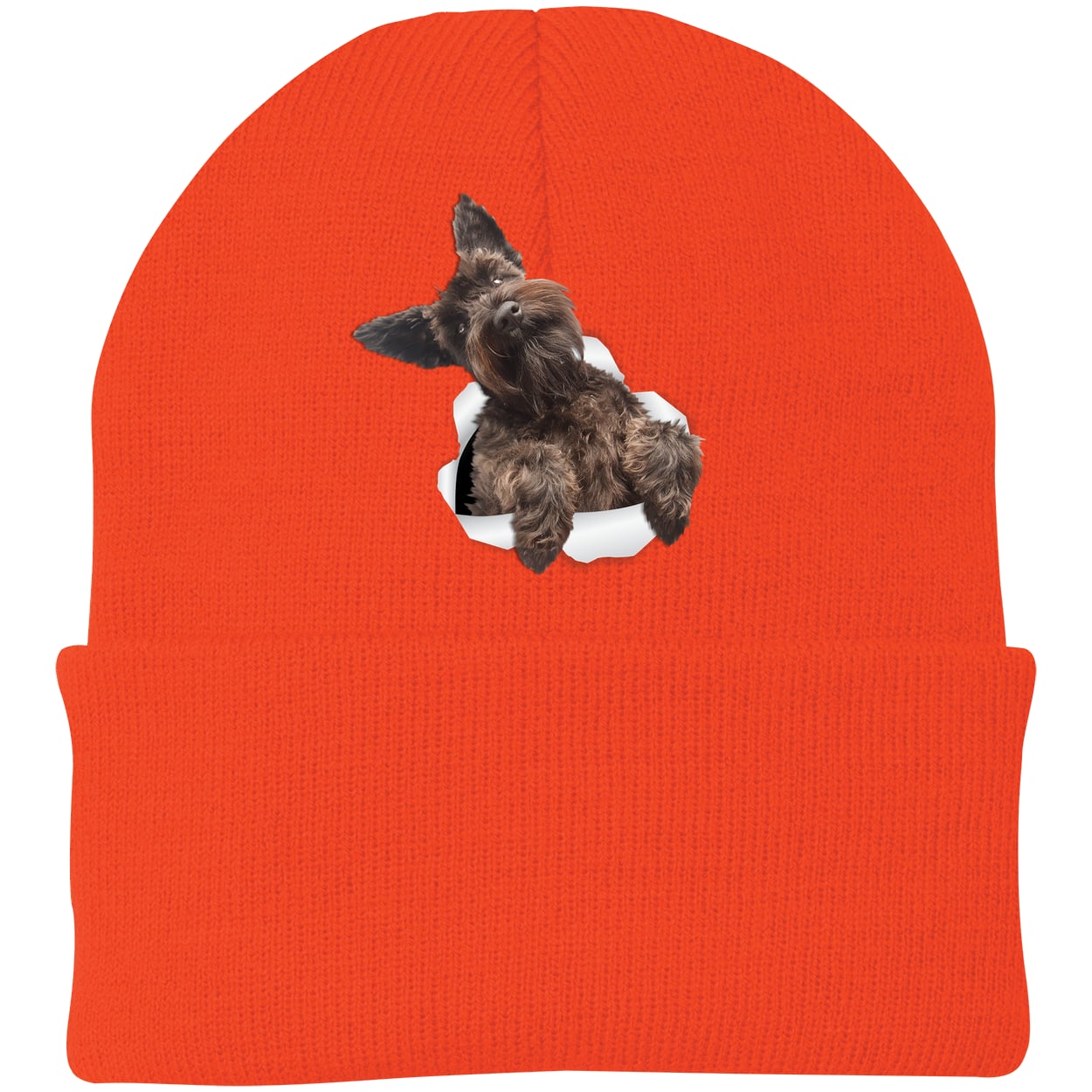 CP90 Port & Company Knit Beanie - Athletic Orange