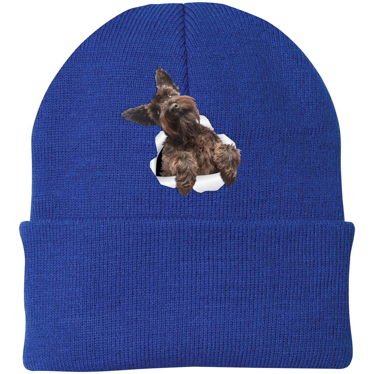 CP90 Port & Company Knit Beanie - Athletic Royal