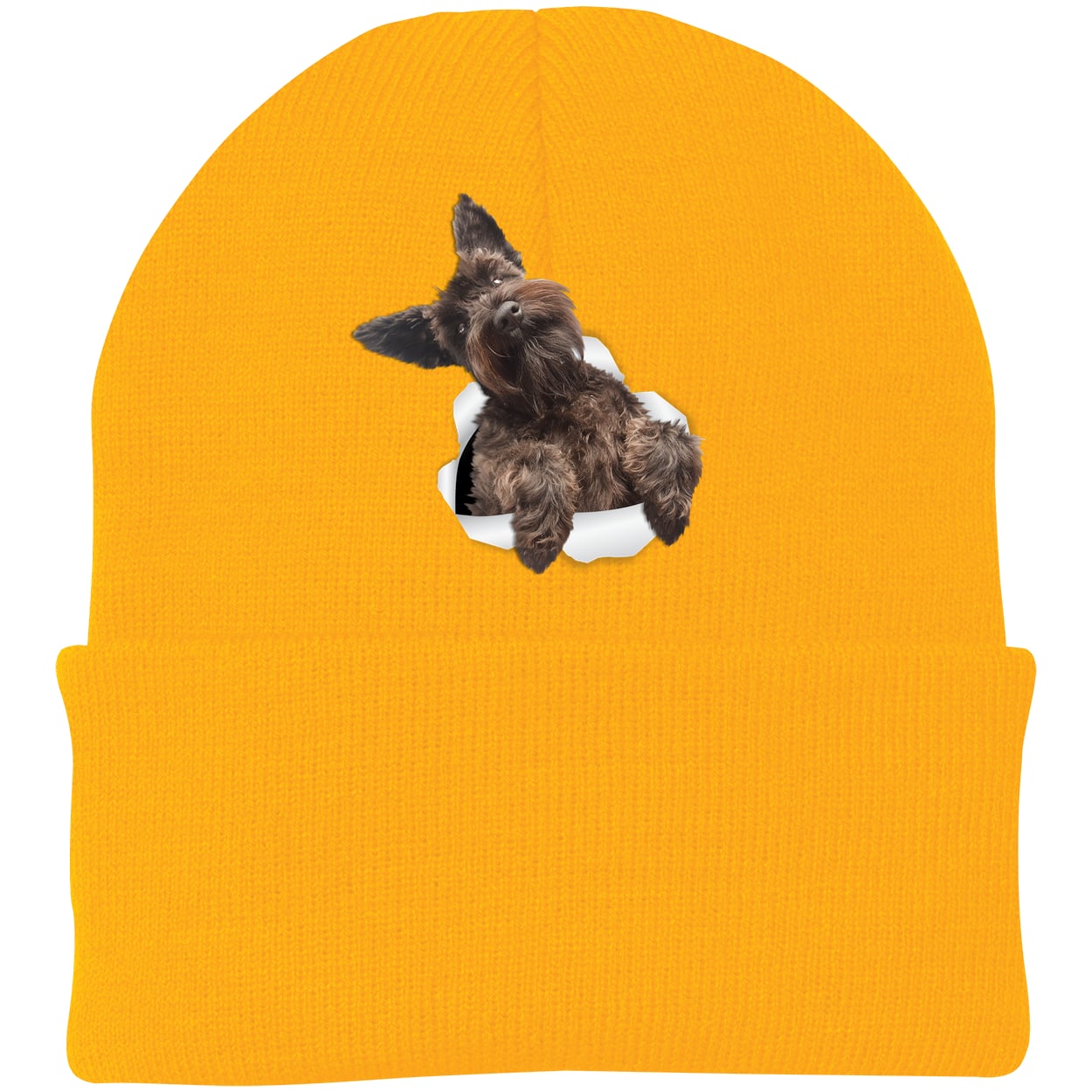 CP90 Port & Company Knit Beanie - Athletic Gold