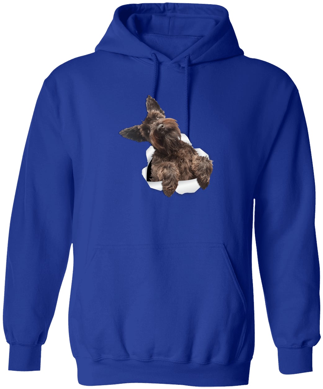 G185 Gildan Pullover Hoodie - Royal