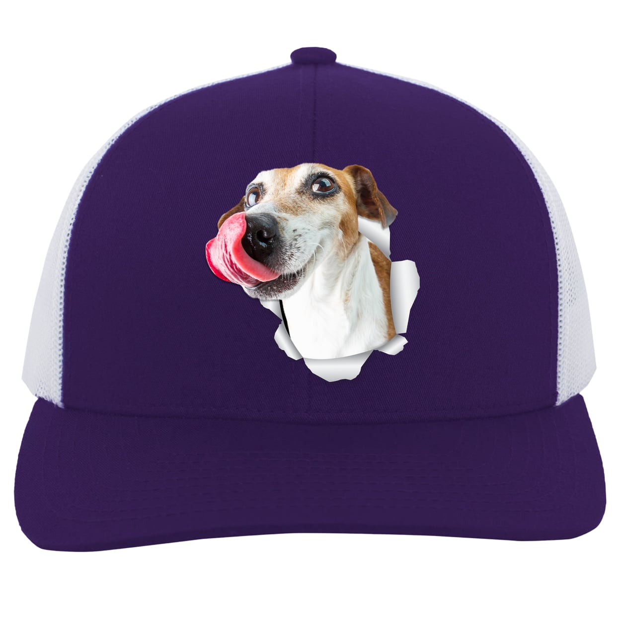 104C Trucker Snap Back - Purple/White