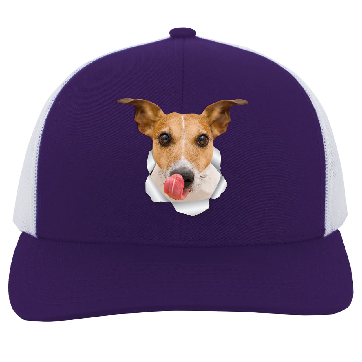 104C Trucker Snap Back - Purple/White
