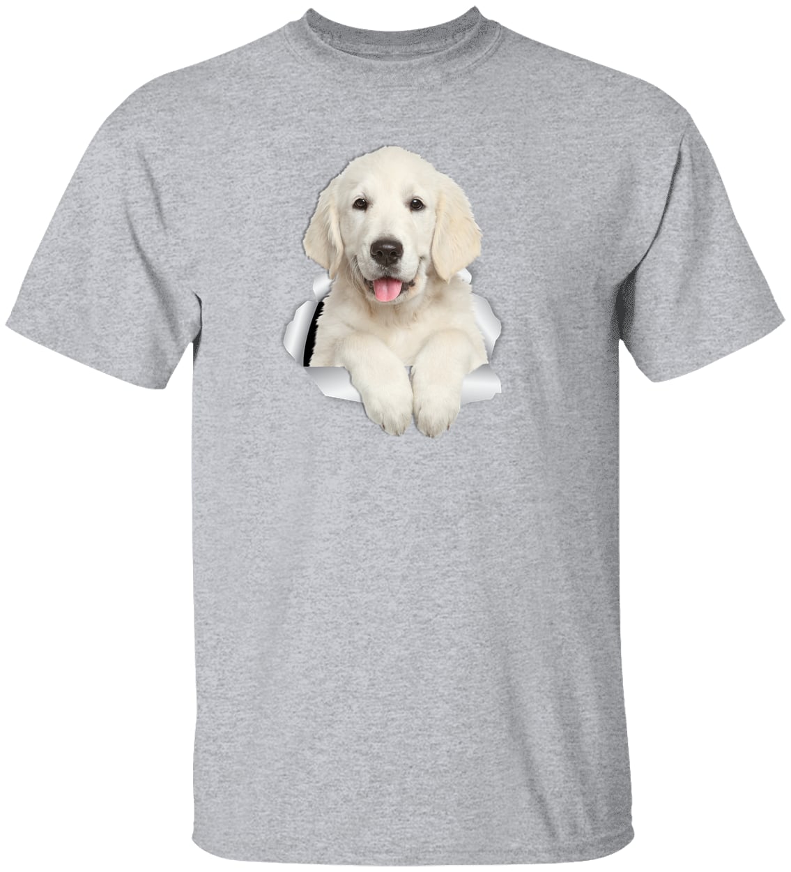 G500 Gildan 5.3 oz. T-Shirt - Sport Grey