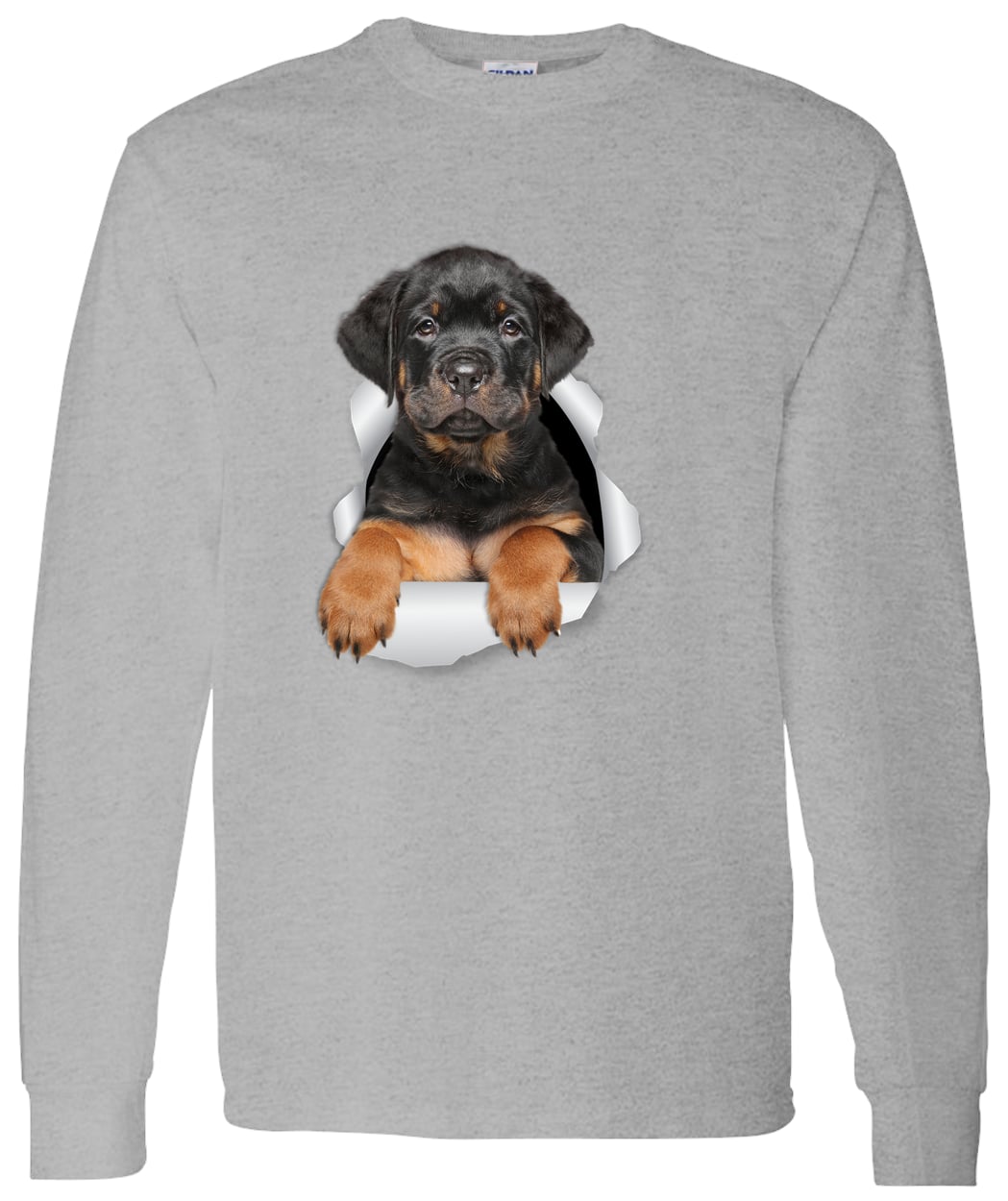 G540 LS T-Shirt 5.3 oz. - Sport Grey