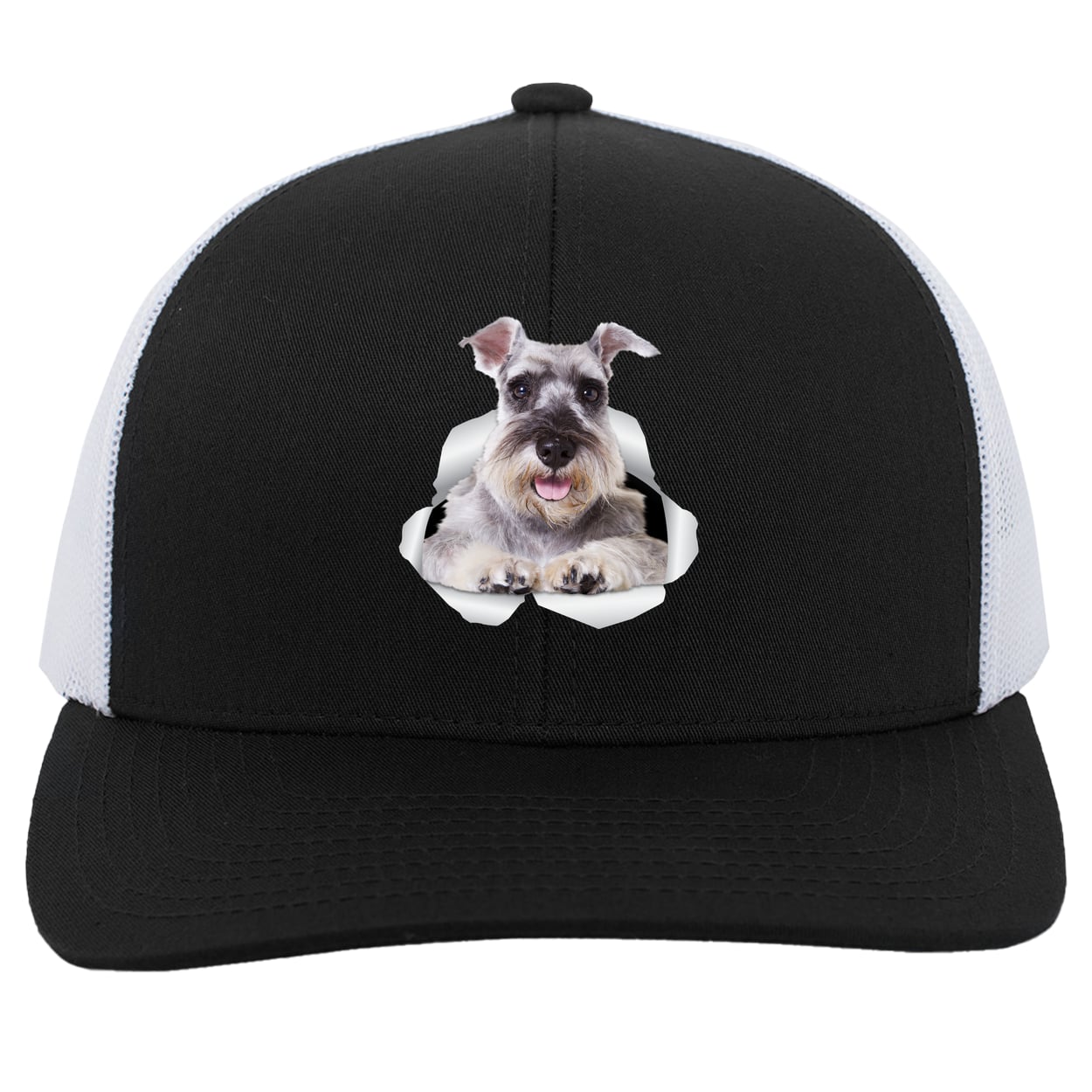 104C Trucker Snap Back - Black/White