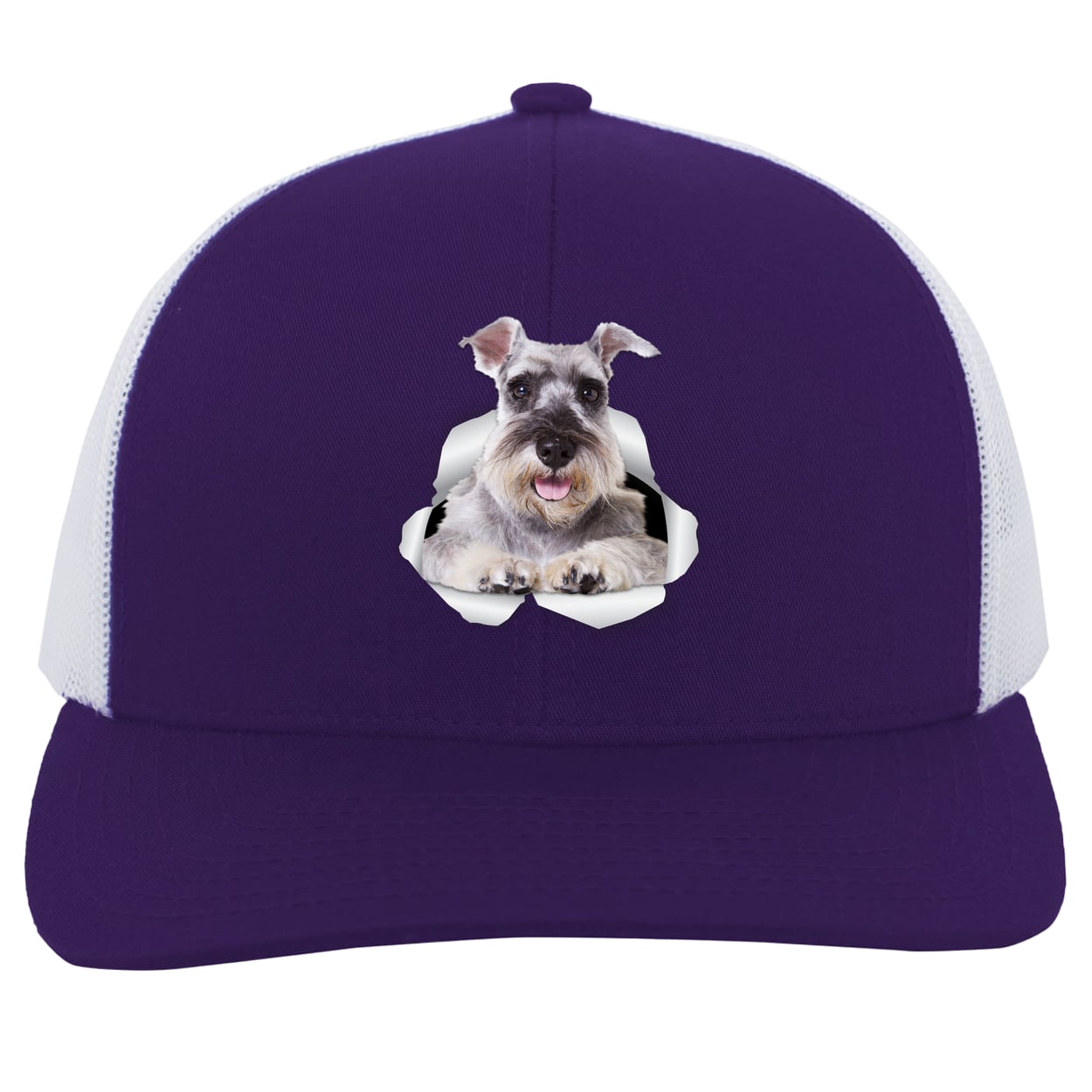 104C Trucker Snap Back - Purple/White