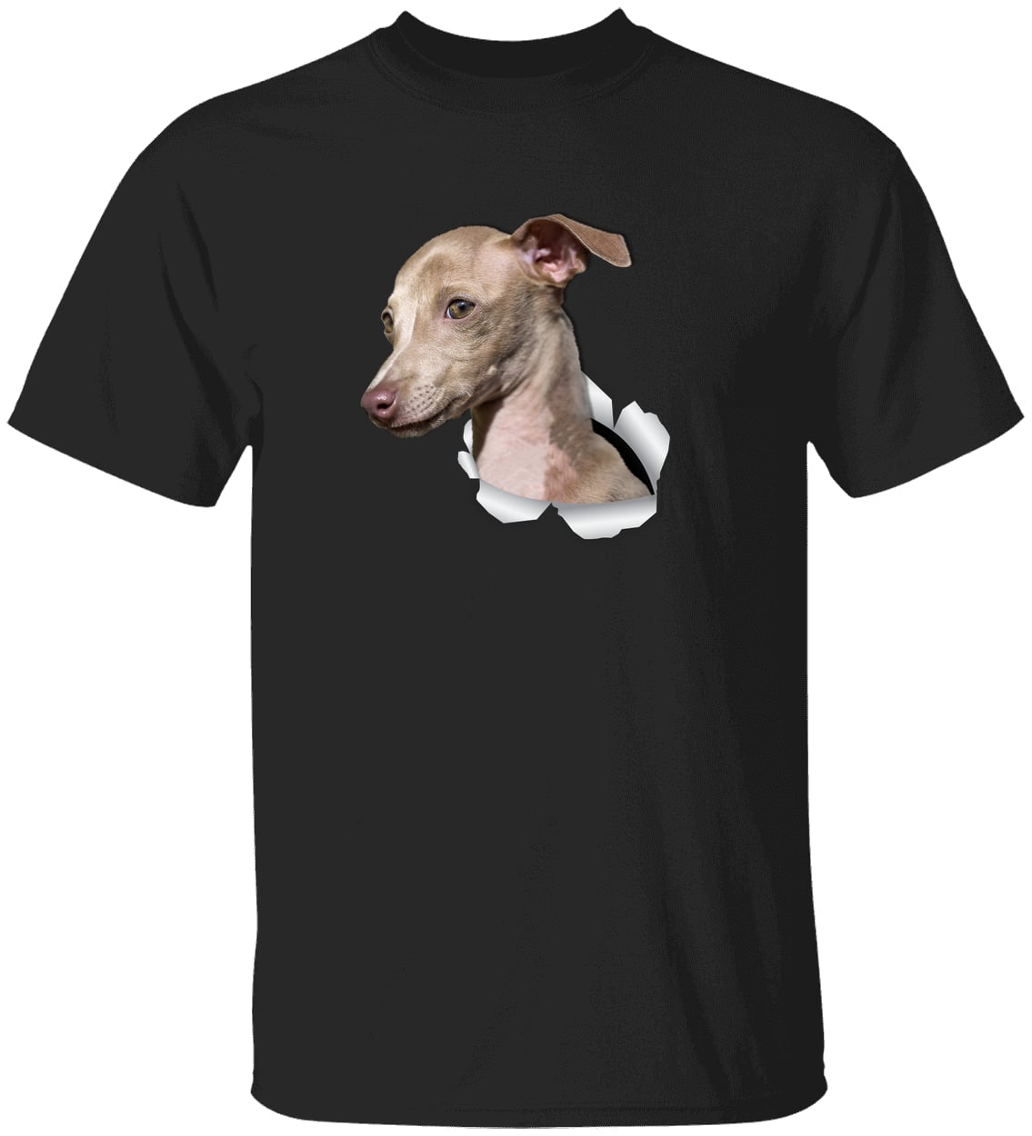 G500 Gildan 5.3 oz. T-Shirt - Black