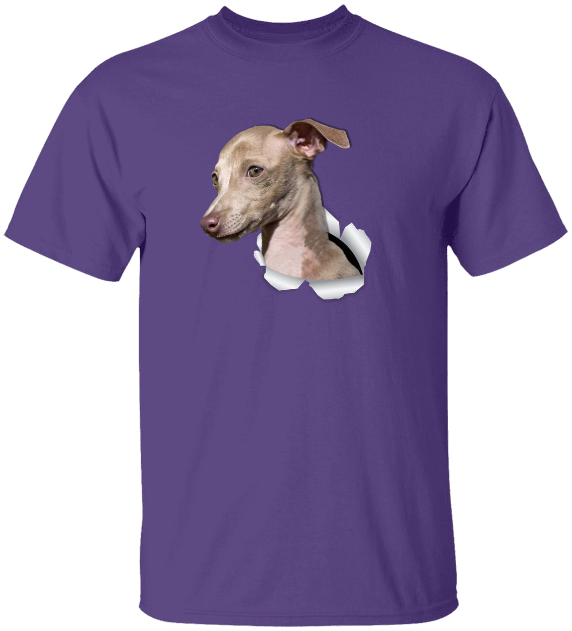 G500 Gildan 5.3 oz. T-Shirt - Purple