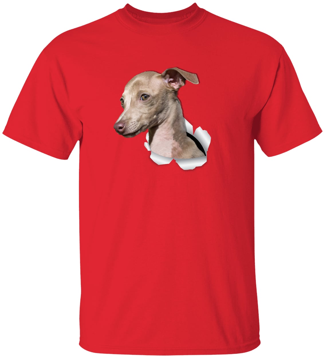 G500 Gildan 5.3 oz. T-Shirt - Red