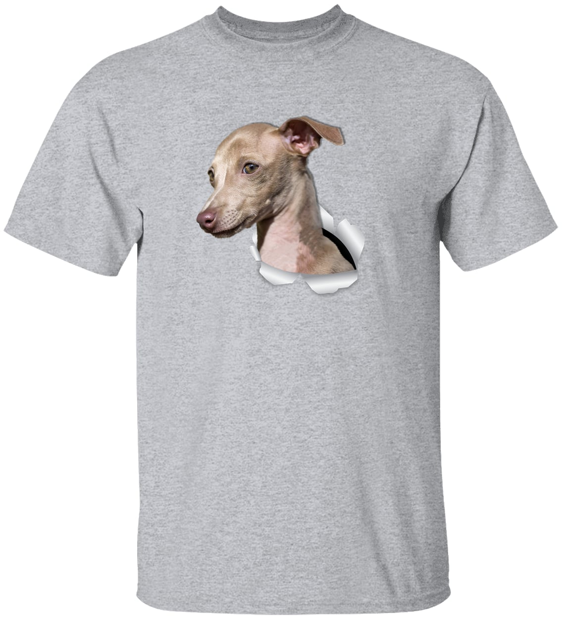 G500 Gildan 5.3 oz. T-Shirt - Sport Grey