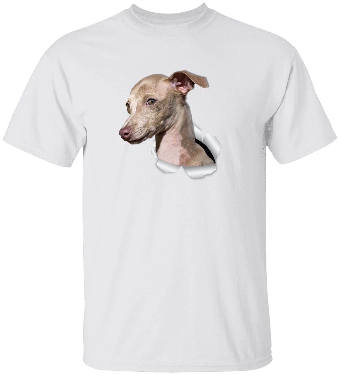 G500 Gildan 5.3 oz. T-Shirt - White