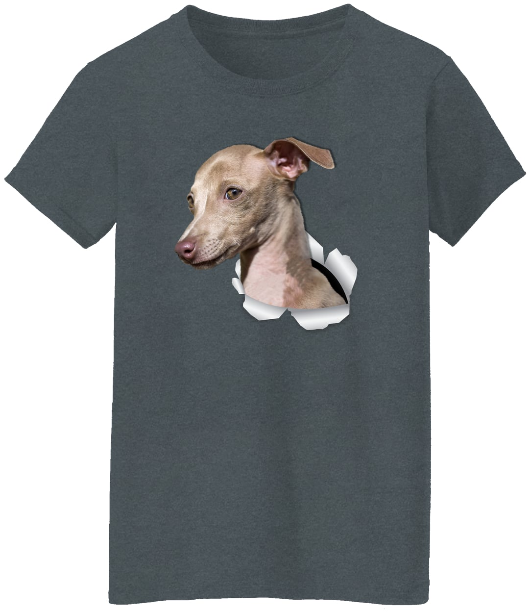 G500L Ladies' 5.3 oz. T-Shirt - Dark Heather