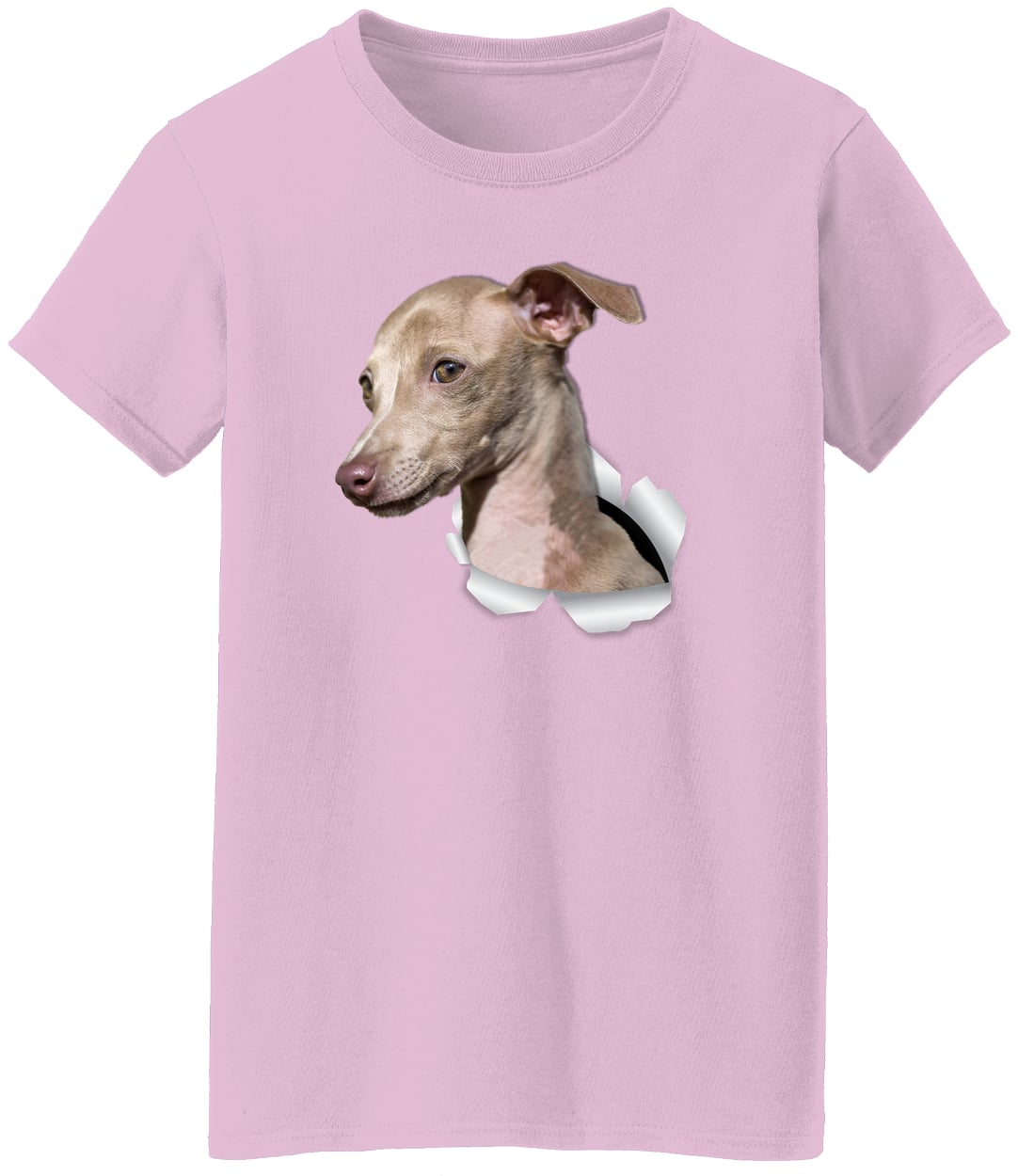 G500L Ladies' 5.3 oz. T-Shirt - Light Pink