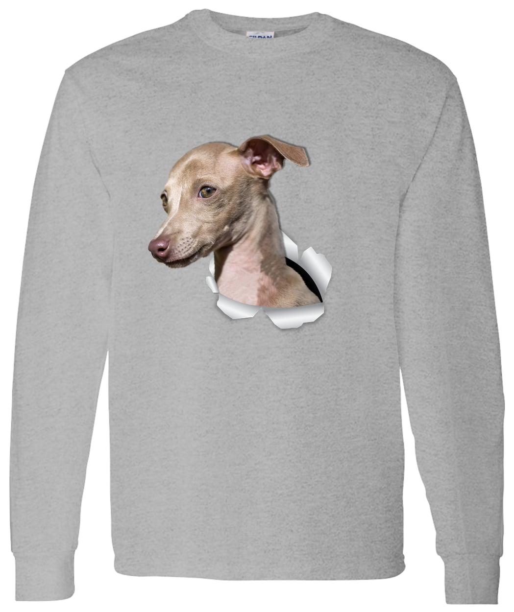 G540 LS T-Shirt 5.3 oz. - Sport Grey