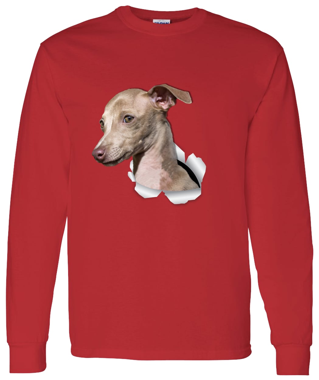 G540 LS T-Shirt 5.3 oz. - Red