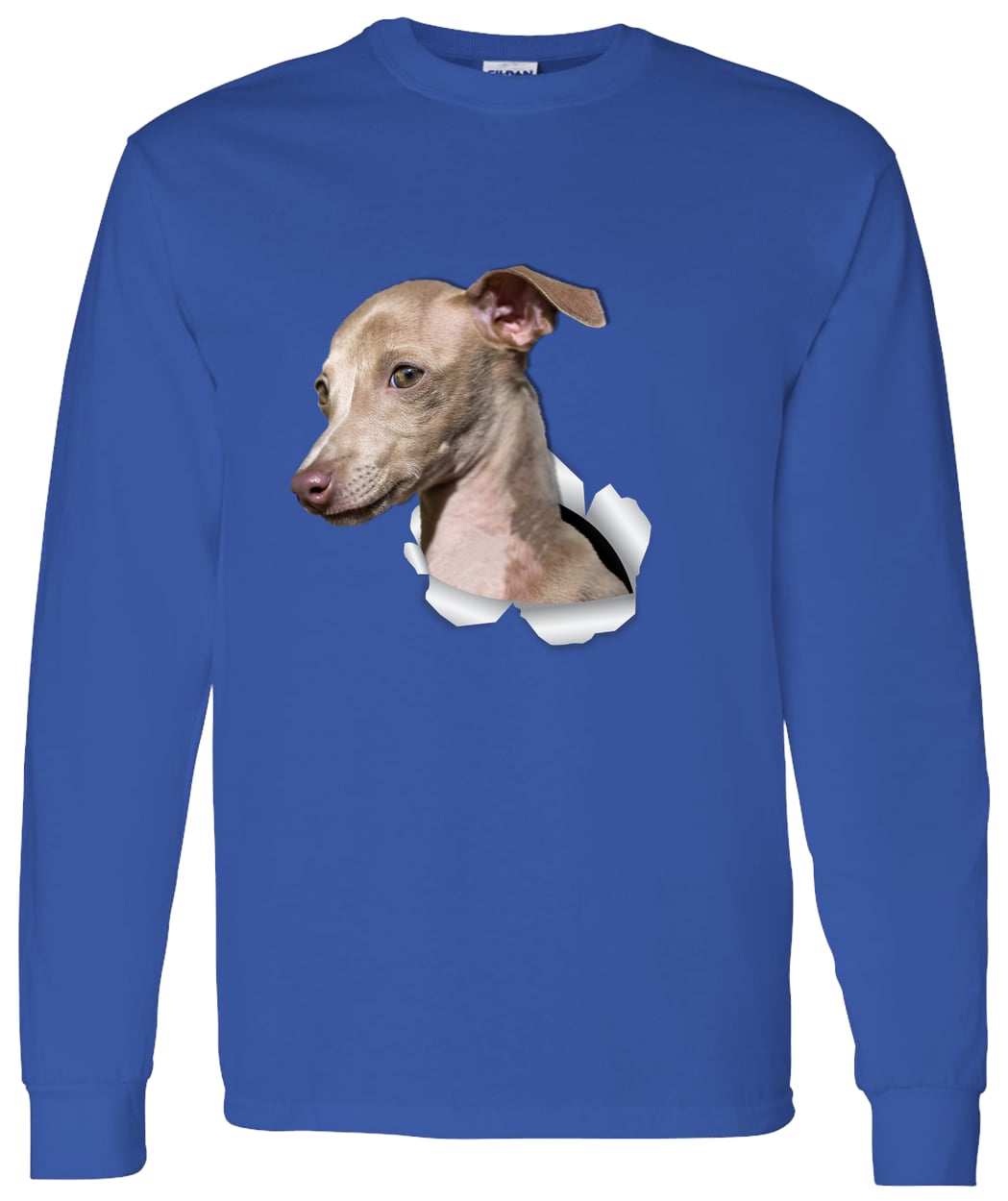 G540 LS T-Shirt 5.3 oz. - Royal