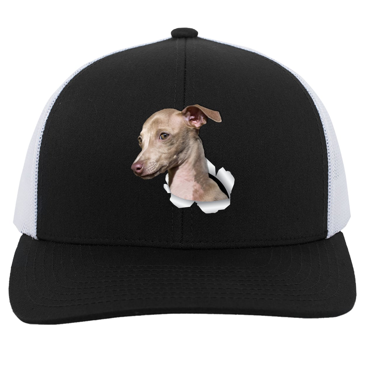 104C Trucker Snap Back - Black/White
