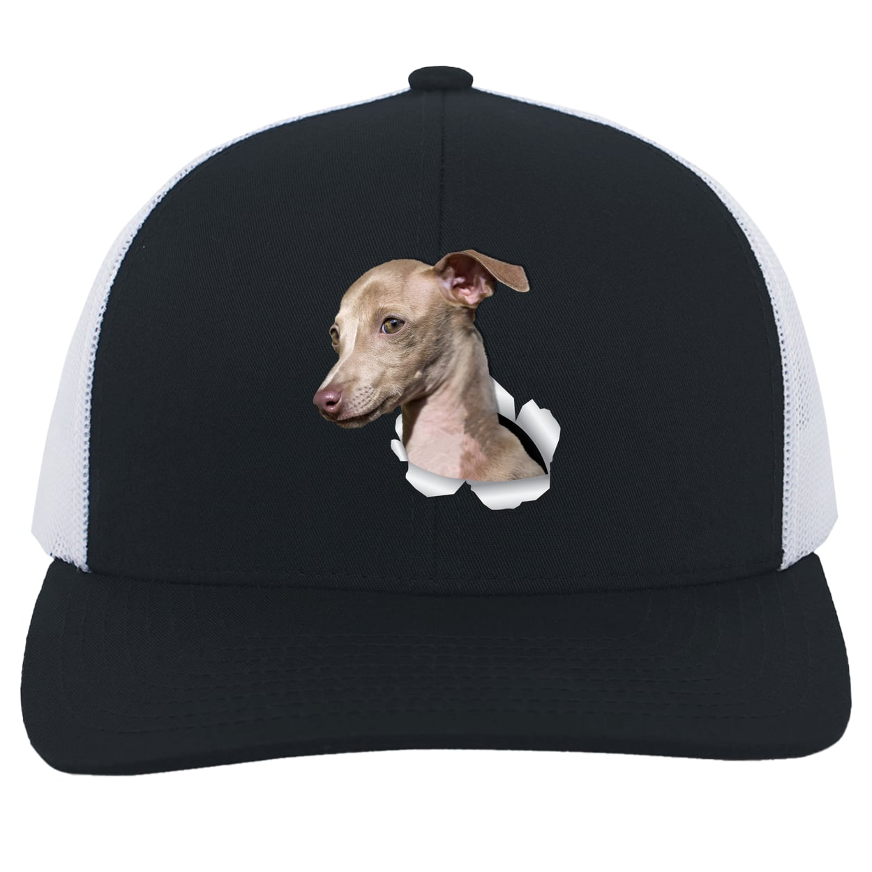 104C Trucker Snap Back - Navy/White