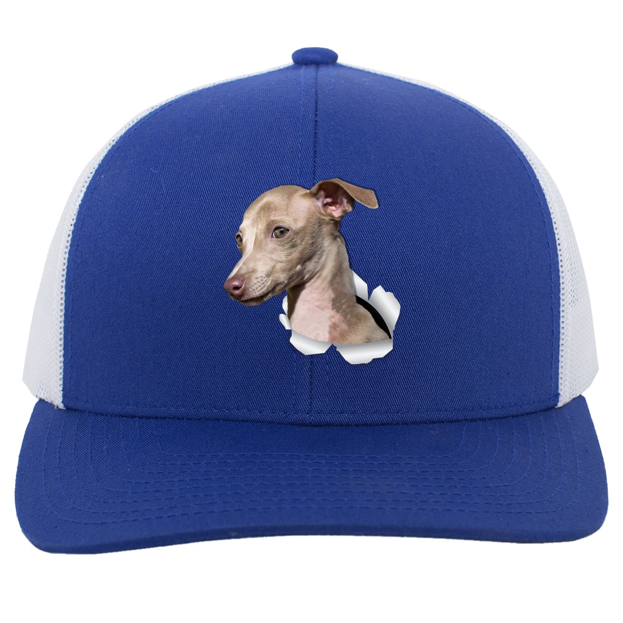 104C Trucker Snap Back - Royal/White