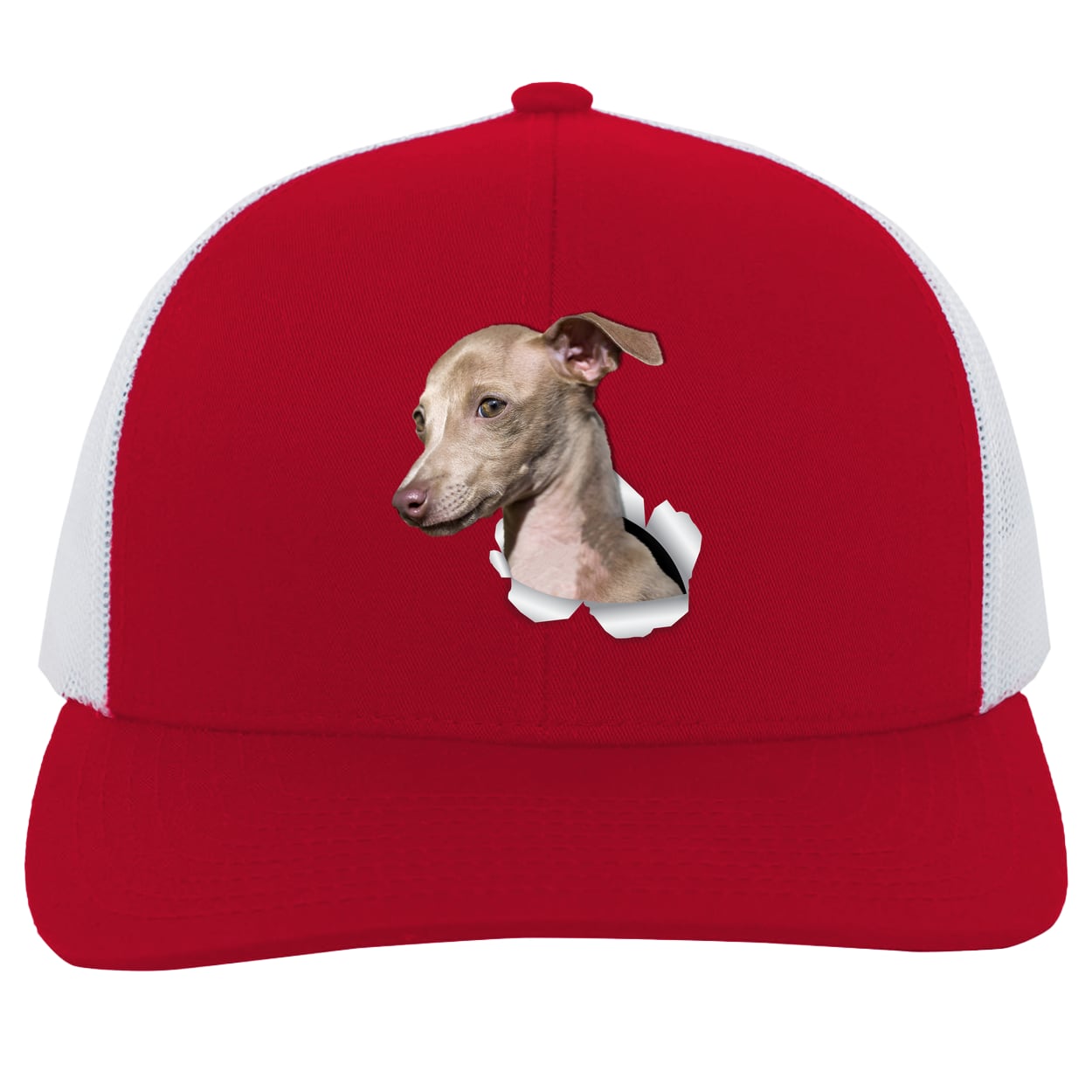 104C Trucker Snap Back - Red/White