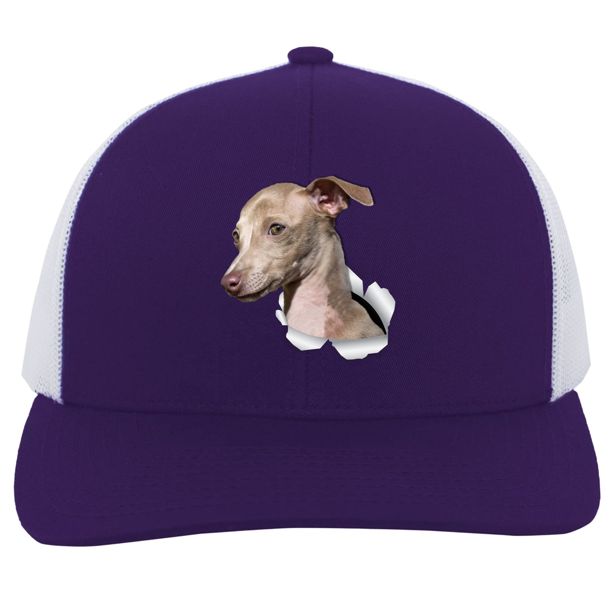 104C Trucker Snap Back - Purple/White