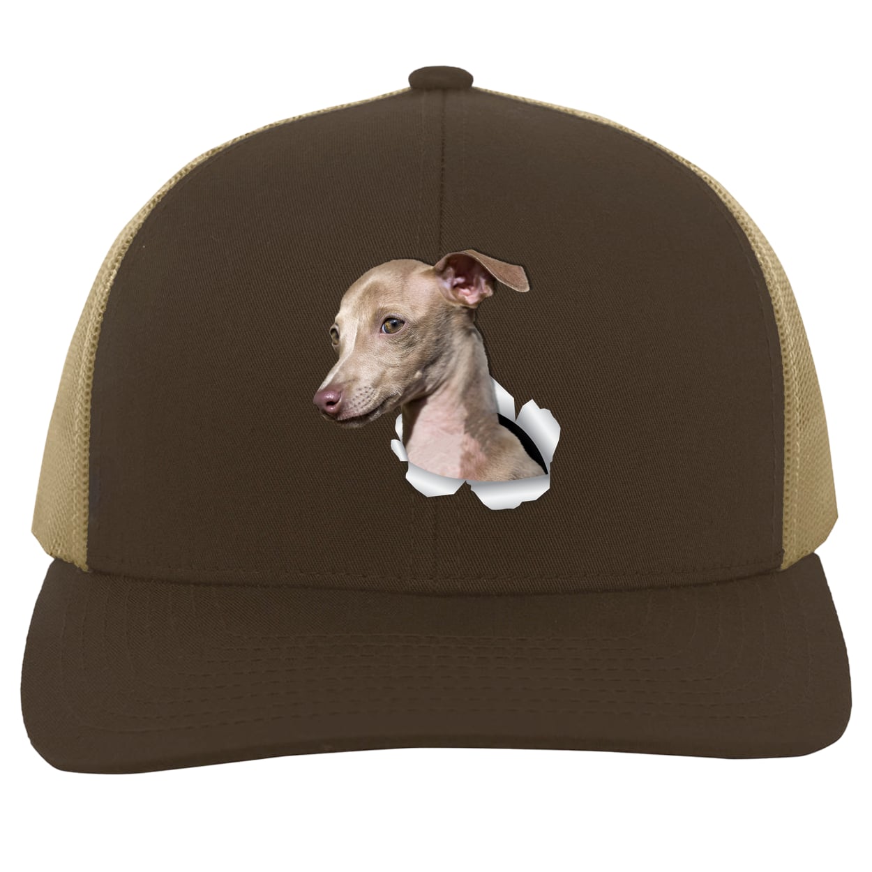 104C Trucker Snap Back - Brown/Khaki