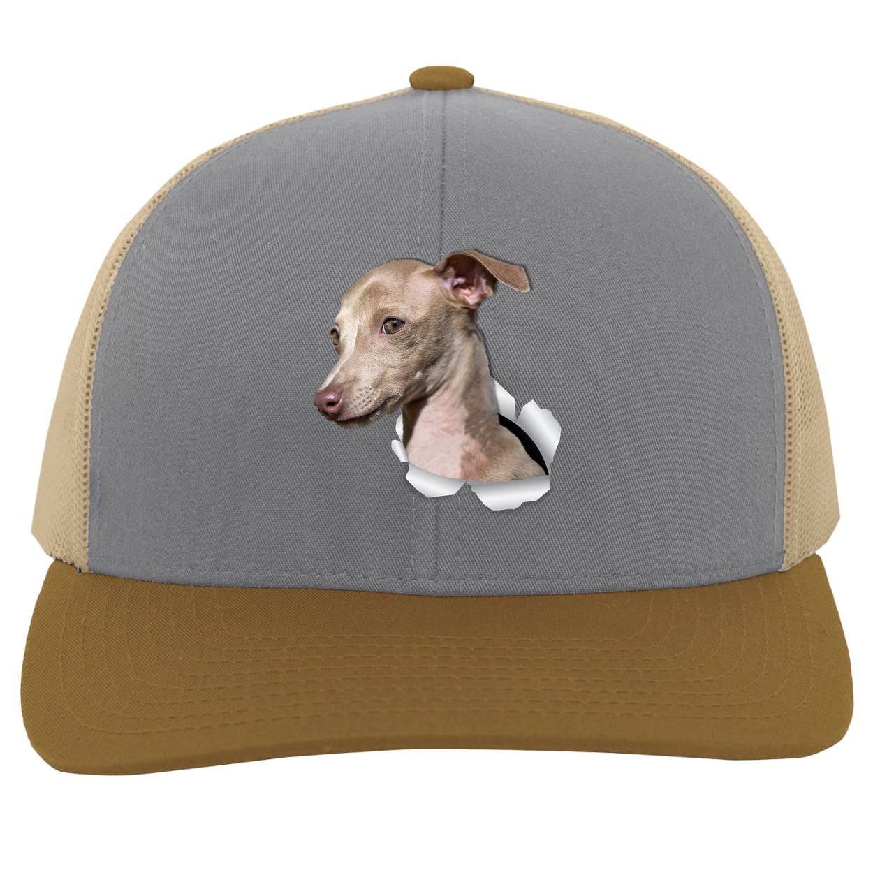 104C Trucker Snap Back - Heather/Beige/Amber
