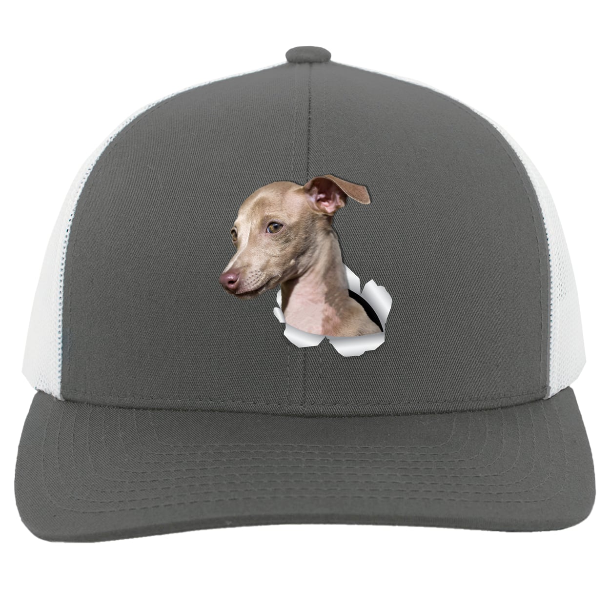 104C Trucker Snap Back - Graphite/White