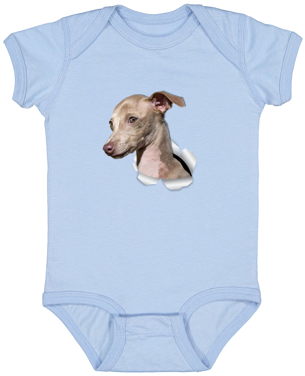 4424 Infant Fine Jersey Bodysuit - Light Blue