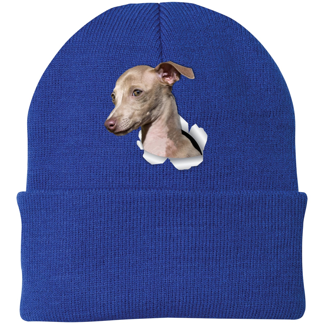 CP90 Port & Company Knit Beanie - Athletic Royal