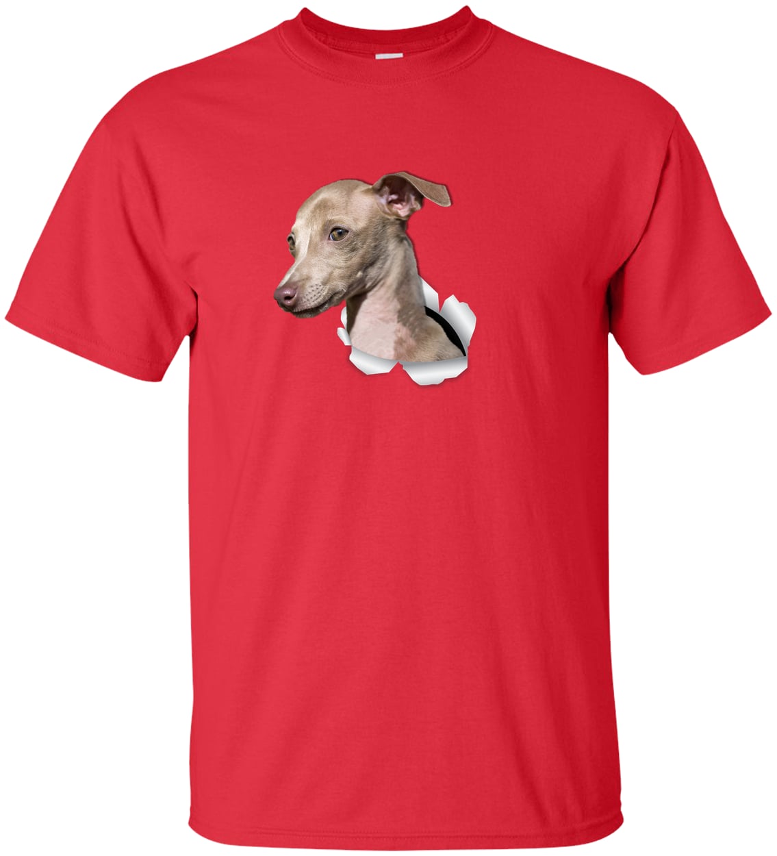 G200T Gildan Mens Tall Ultra Cotton Tee - Red