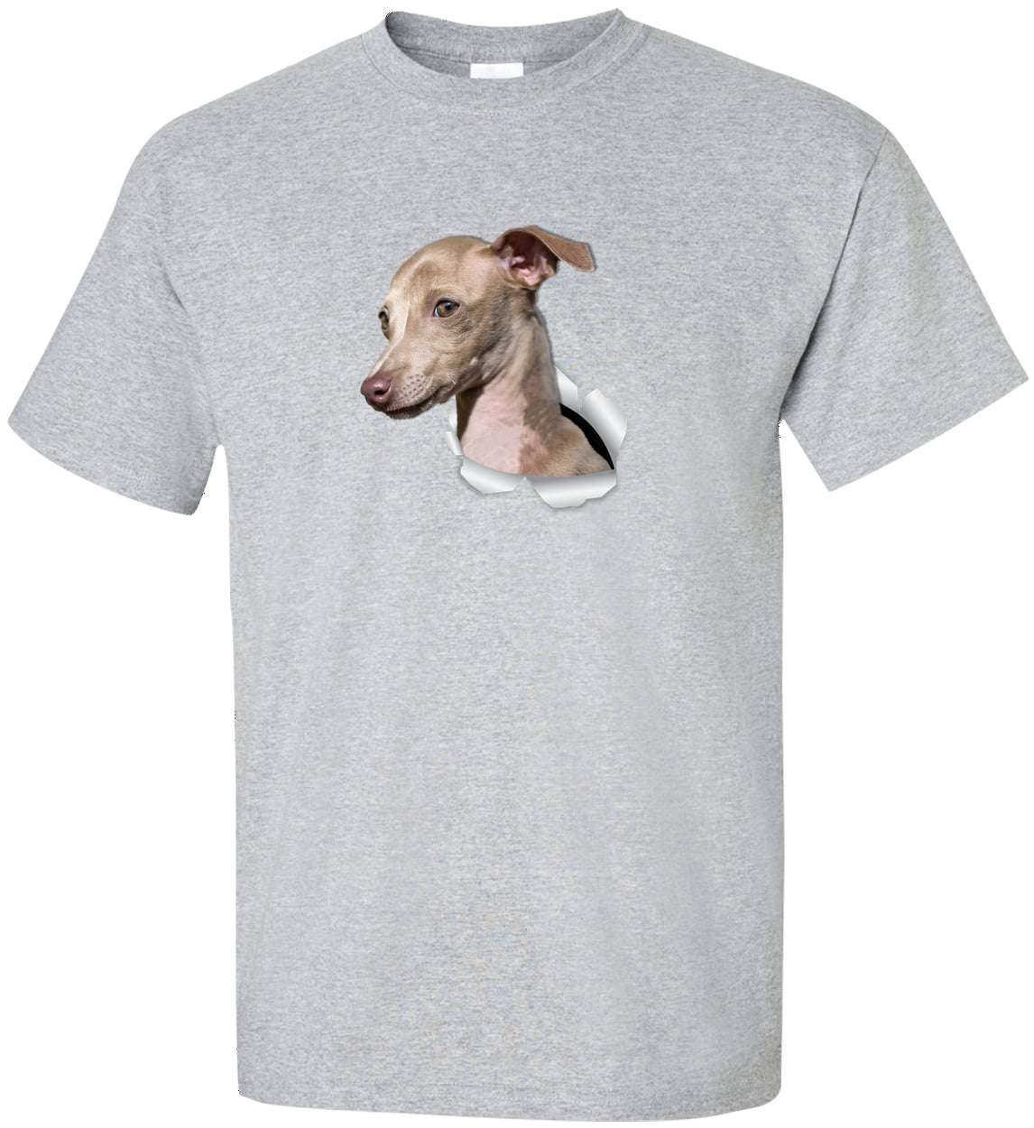 G200T Gildan Mens Tall Ultra Cotton Tee - Sport Grey