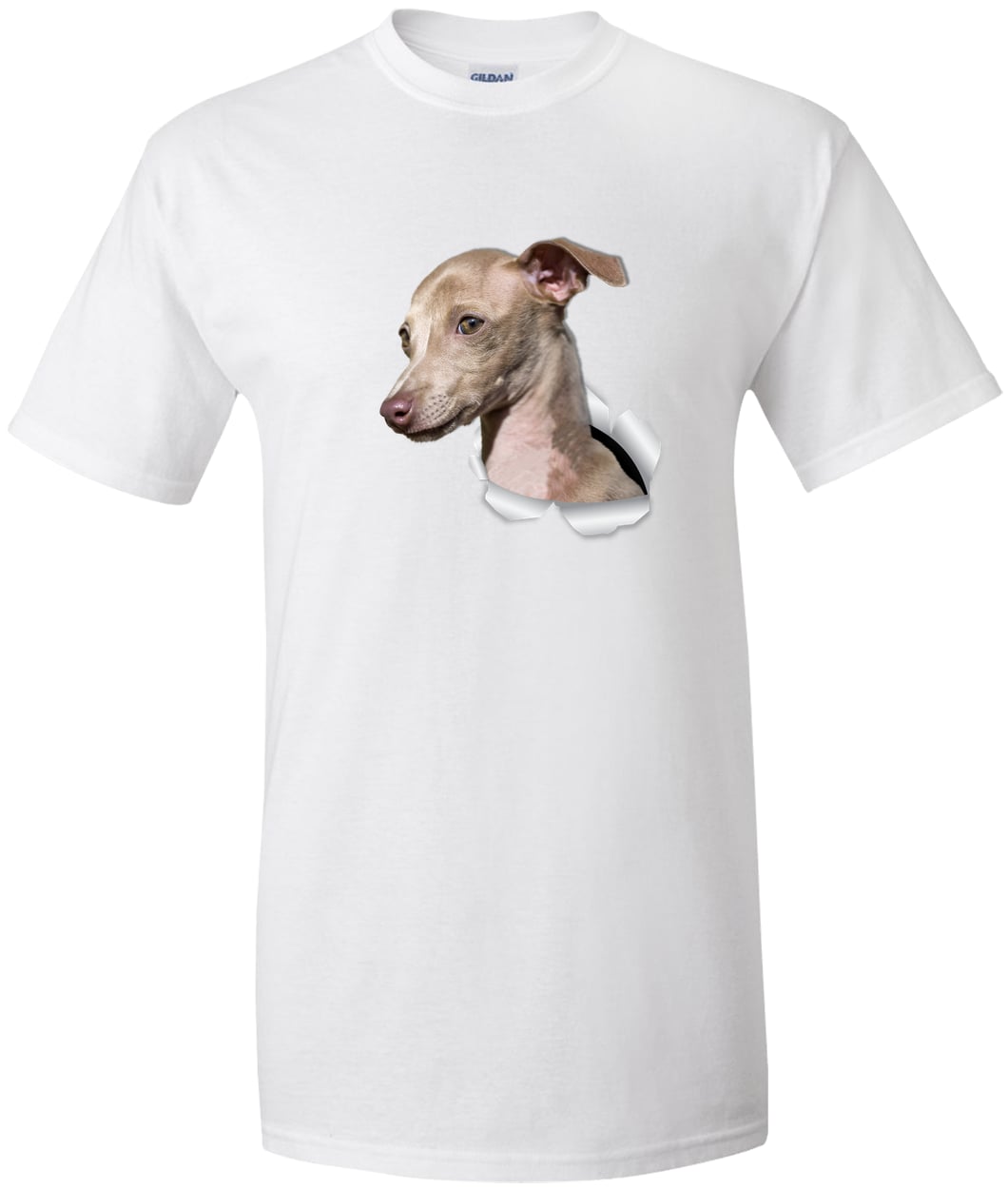 G200T Gildan Mens Tall Ultra Cotton Tee - White