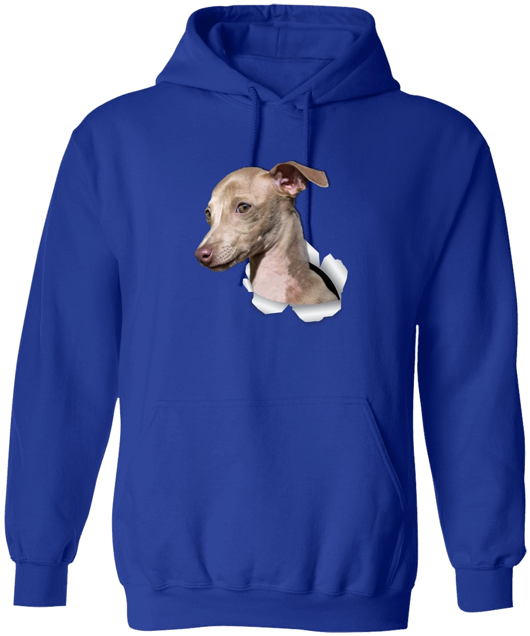 G185 Gildan Pullover Hoodie - Royal