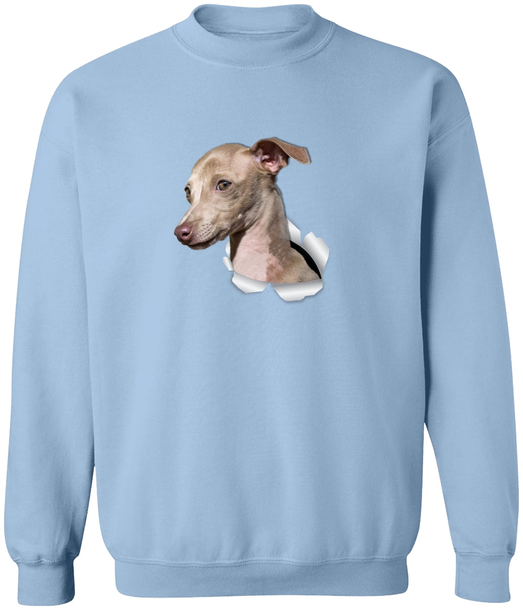 G180 Gildan Crewneck Pullover Sweatshirt - Light Blue