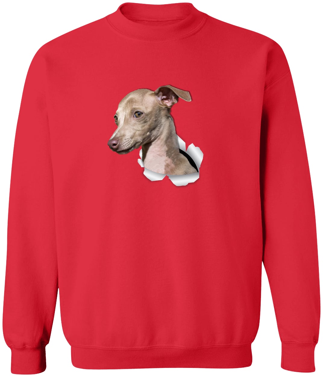 G180 Gildan Crewneck Pullover Sweatshirt - Red