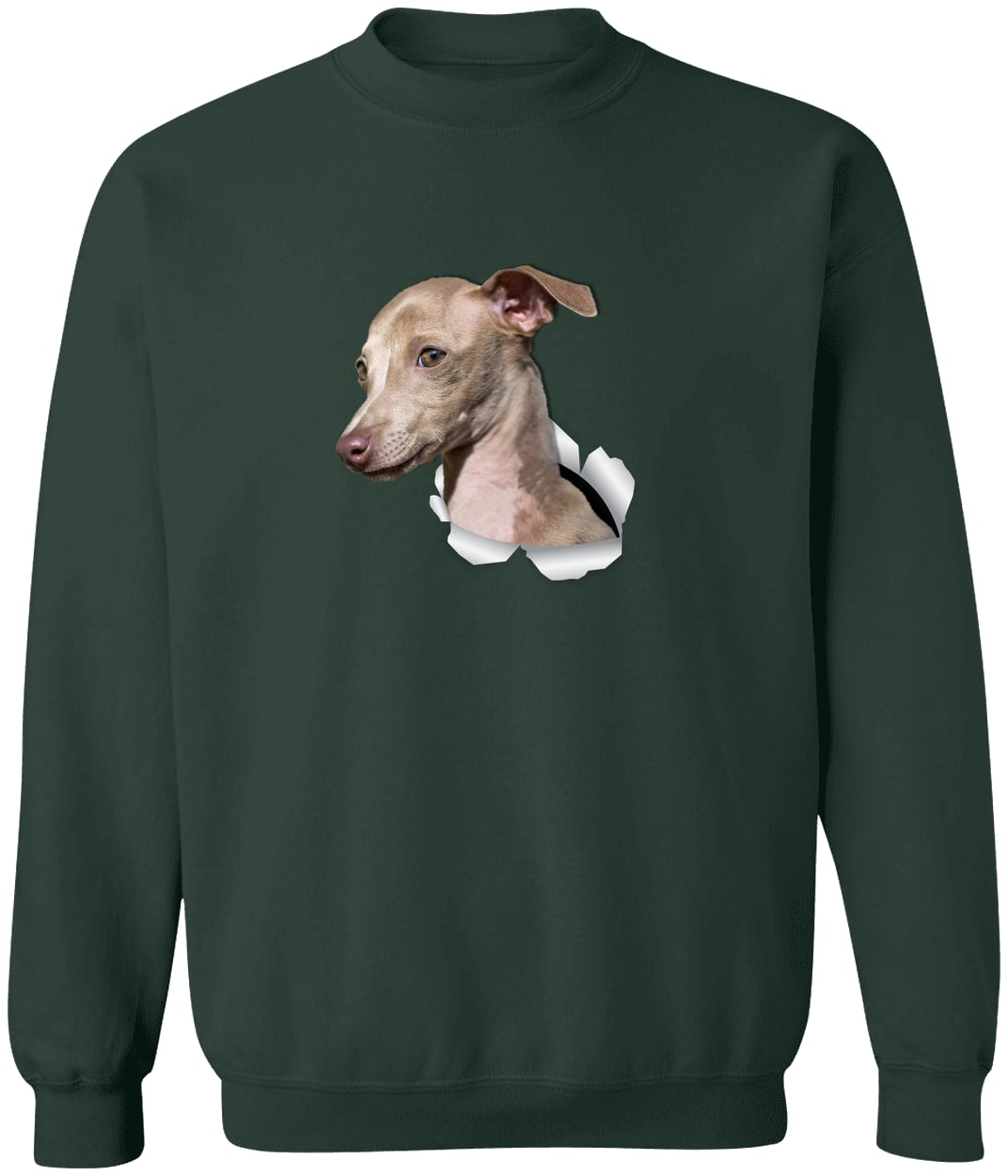 G180 Gildan Crewneck Pullover Sweatshirt - Forest Green