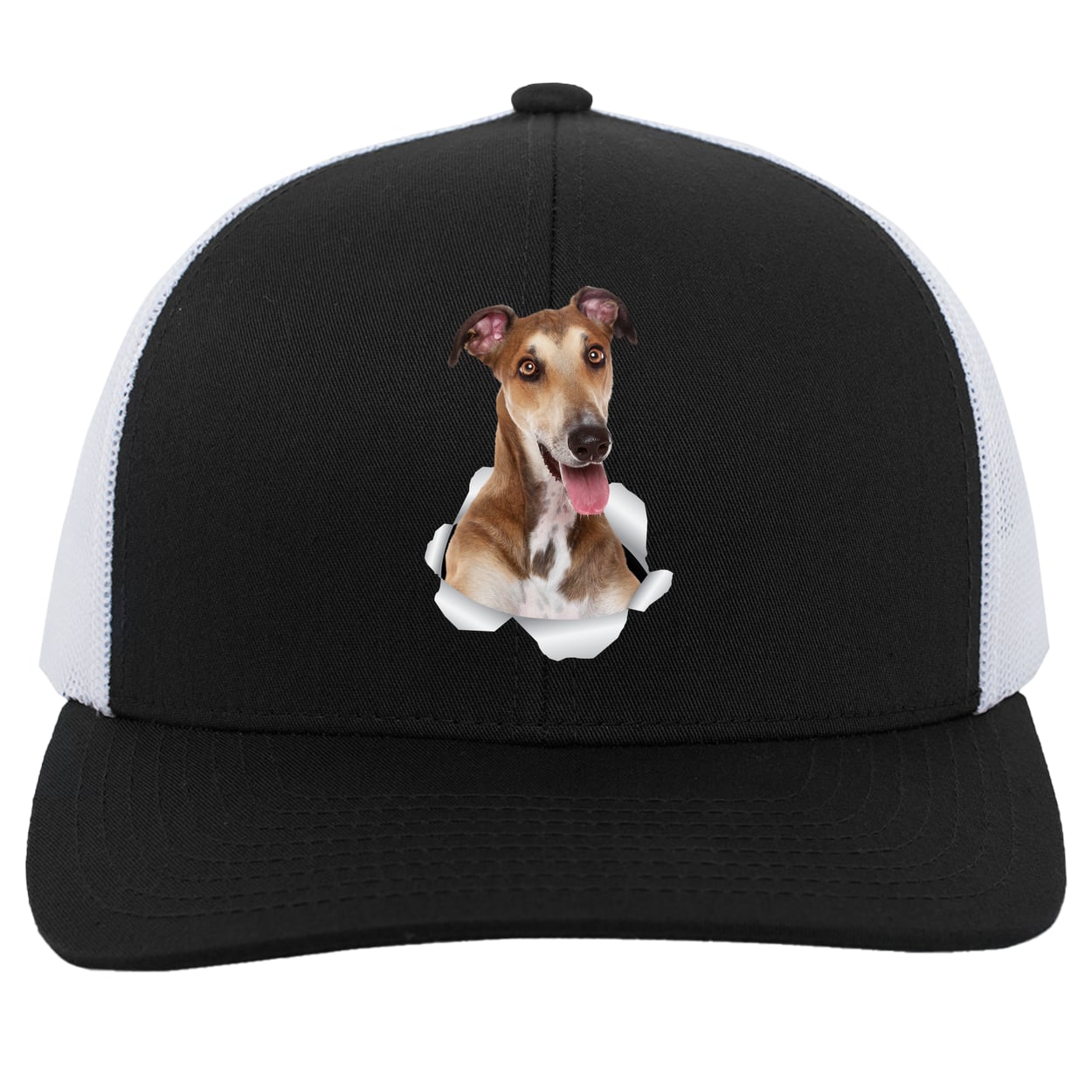 104C Trucker Snap Back - Black/White