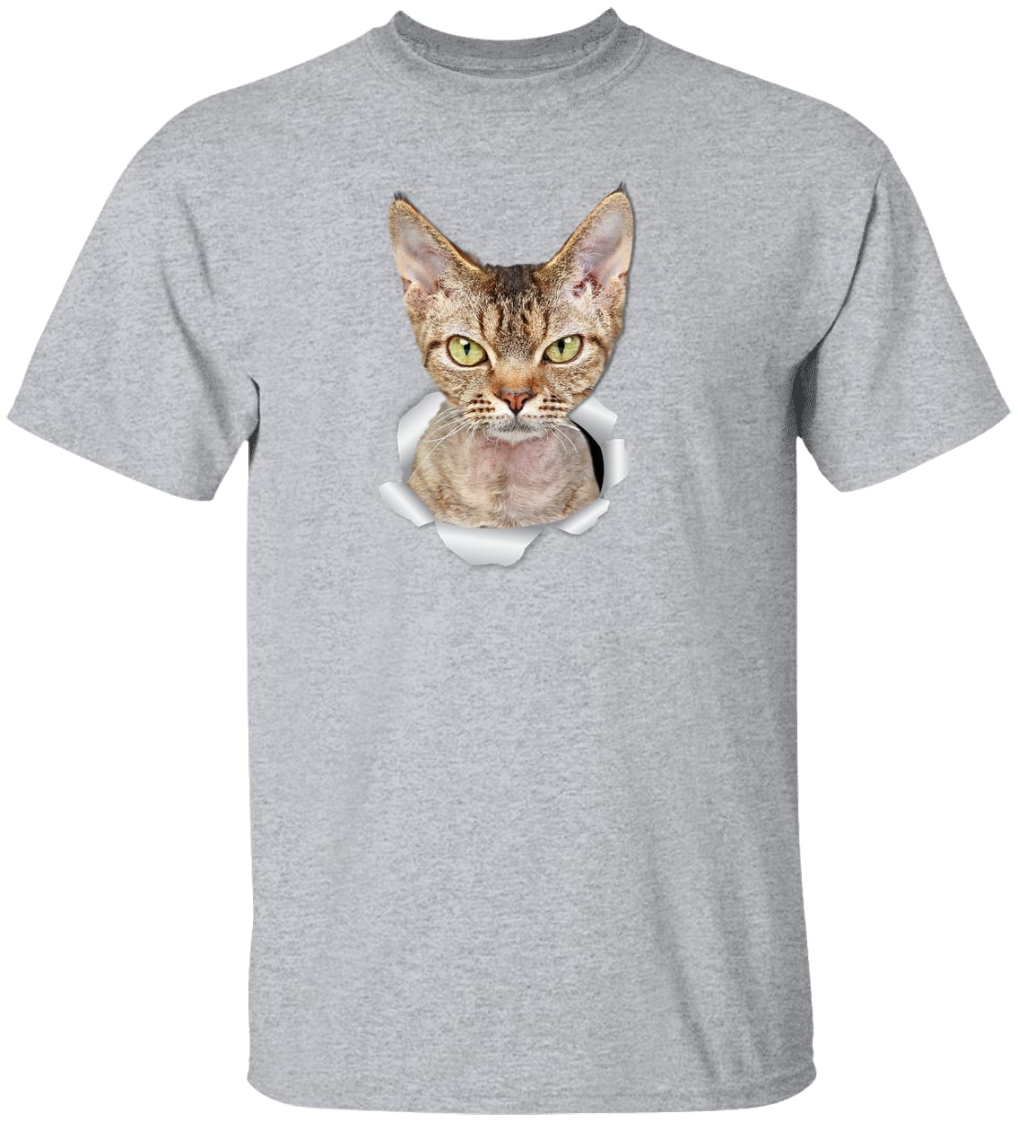 G500 Gildan 5.3 oz. T-Shirt - Sport Grey