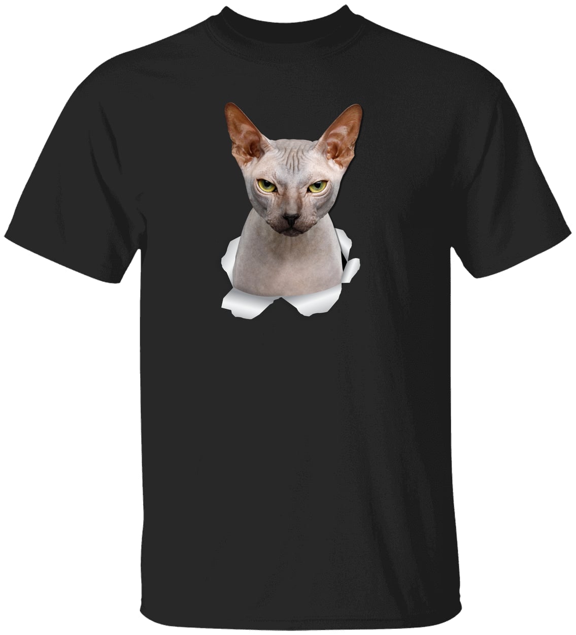 G500 Gildan 5.3 oz. T-Shirt - Black