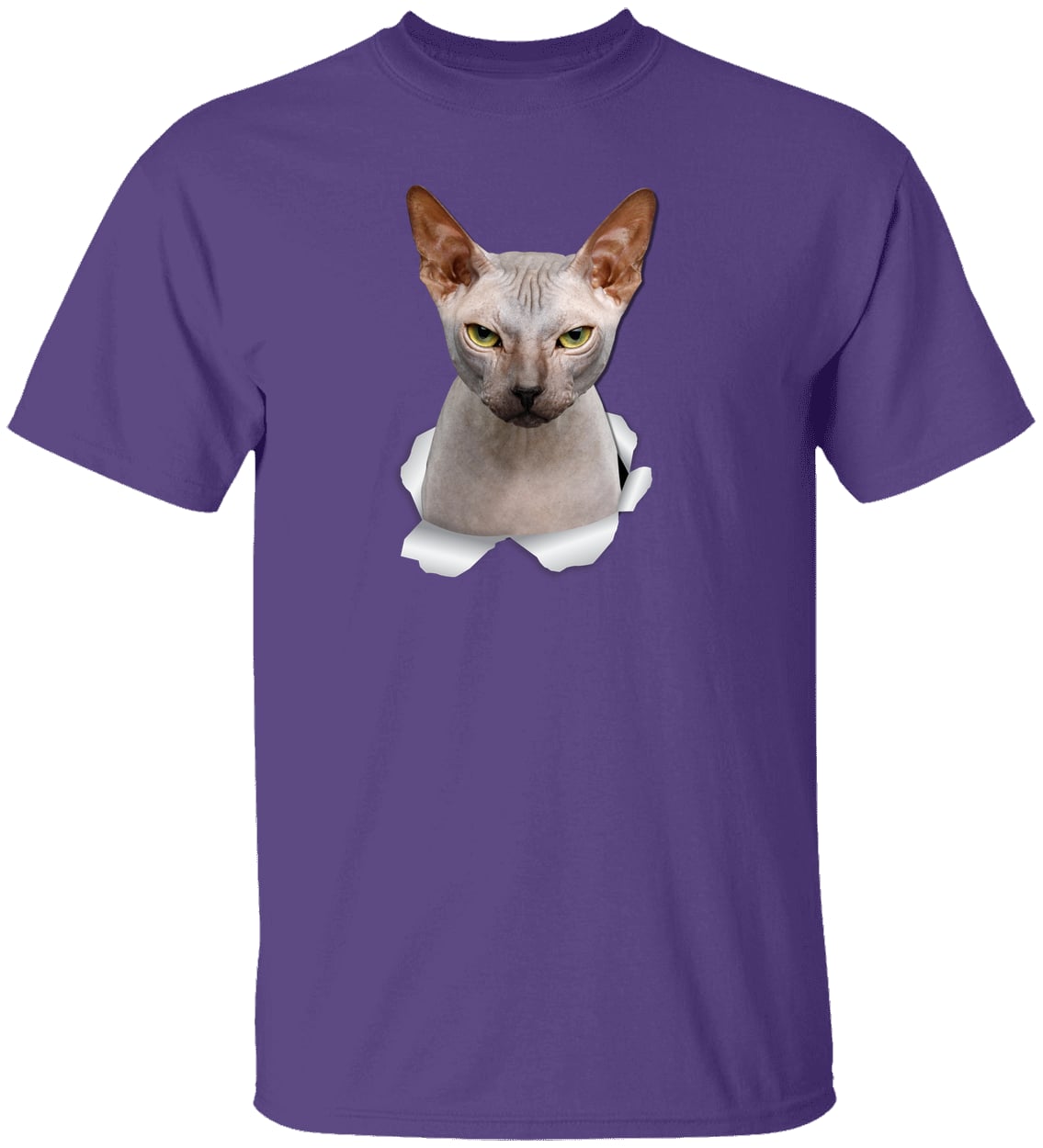 G500 Gildan 5.3 oz. T-Shirt - Purple